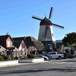 DSC_0044_00001 (October 06, 2023)